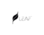 Leaf Studios