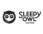 Sleepy Owl