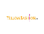 Yellow Fashion