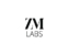 ZM Labs